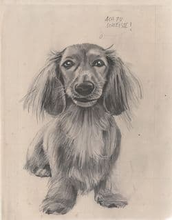 Franz Burkhardt, Trop mignons?, 2025, Bleistift, Tusche und Gouache auf Papier, © Franz Burkhardt