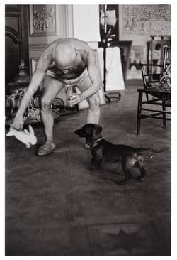 David Douglas Duncan, Picasso spielt mit dem Dackel Lump in der Villa La Californie, Cannes, Sommer 1957, Fotografie, © David Douglas Duncan / Harry Ransom Center