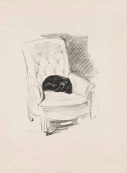 Max Liebermann, Dackel im Lehnstuhl, 1914, Lithographie, Kunsthalle Bremen – Der Kunstverein in Bremen