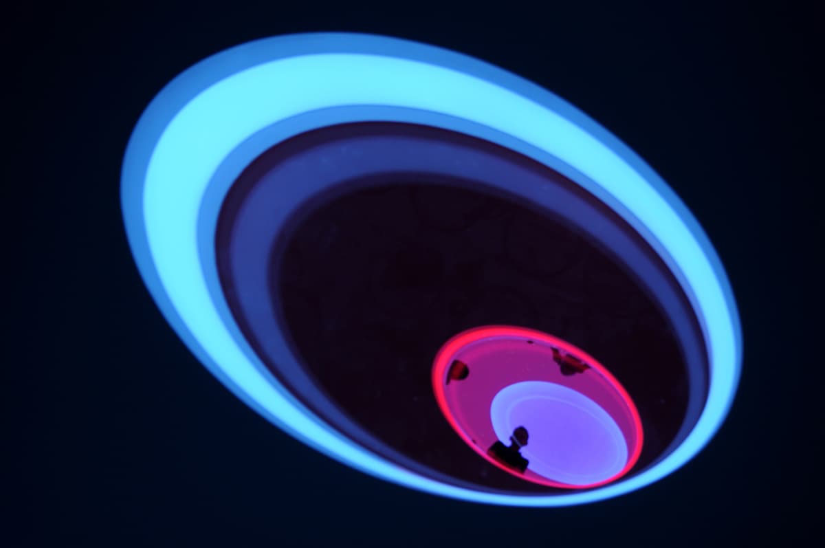 Lichtinstallation mit blauen, pink und lilafarbenen ovalen Kreisen, die immer kleiner werden, durch die kleinsten Kreise schauen Menschen hinab